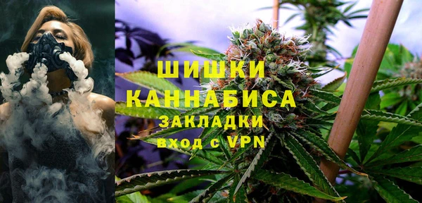 дмт Переславль-Залесский