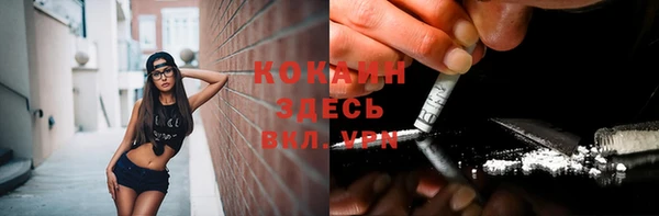 стафф Пересвет