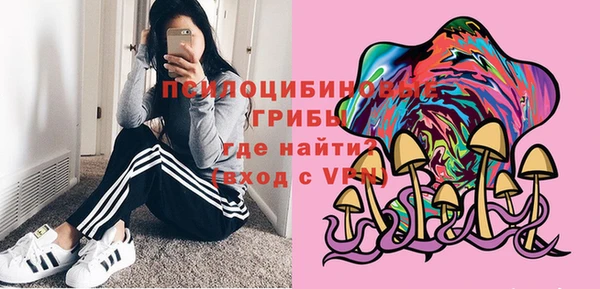 дмт Переславль-Залесский