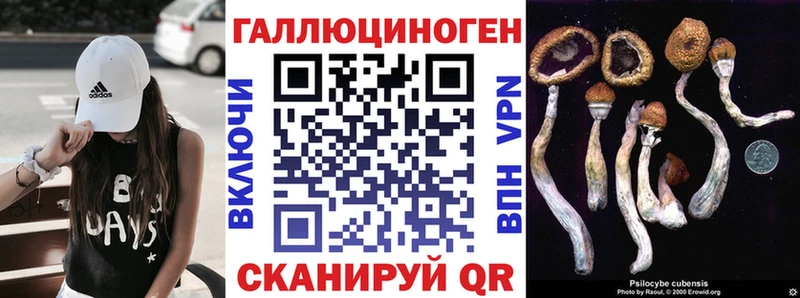 Псилоцибиновые грибы Psilocybine cubensis Нахабино