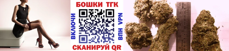 Каннабис индика Нахабино
